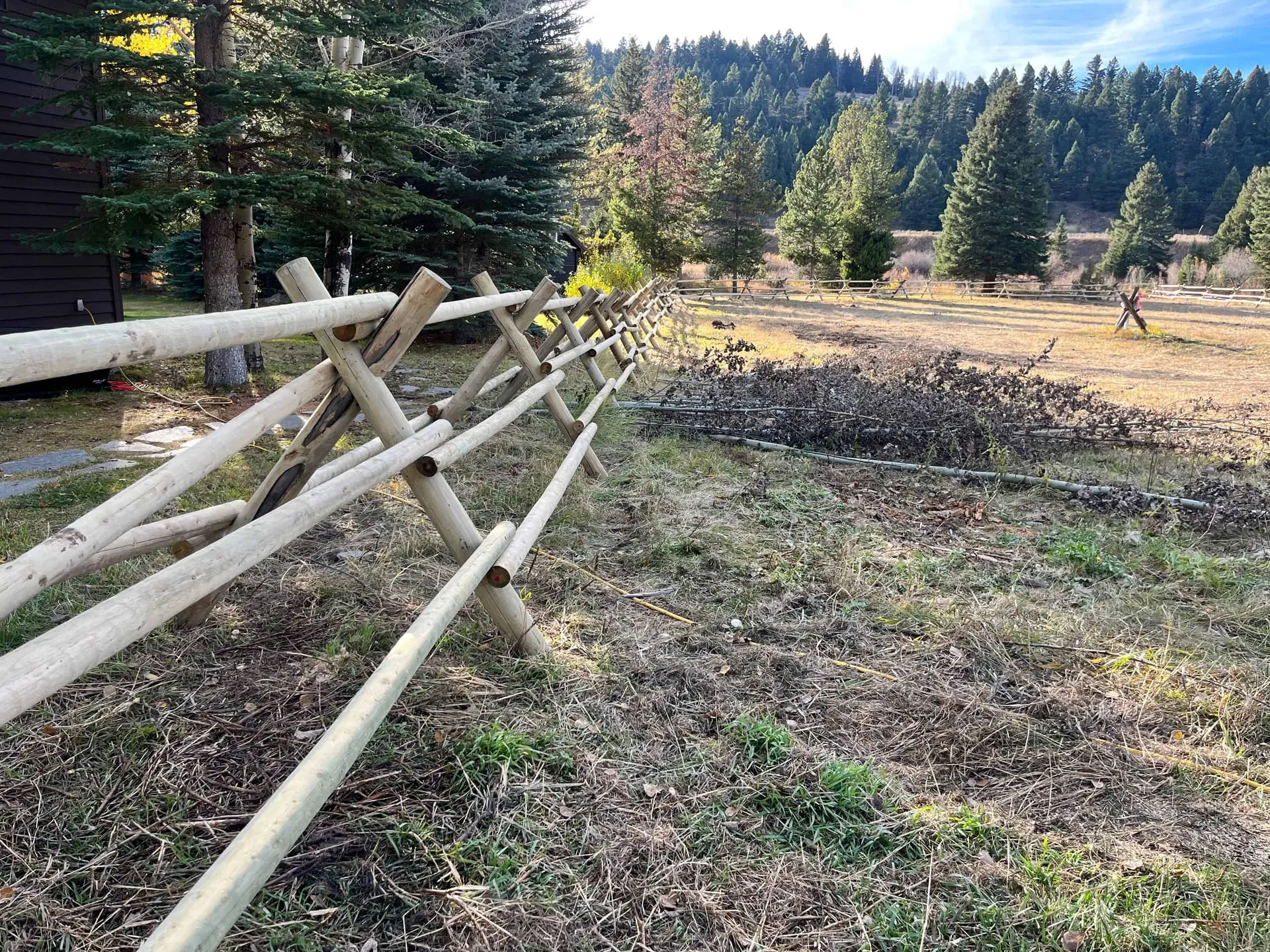 Treated jackleg fence line in Montana