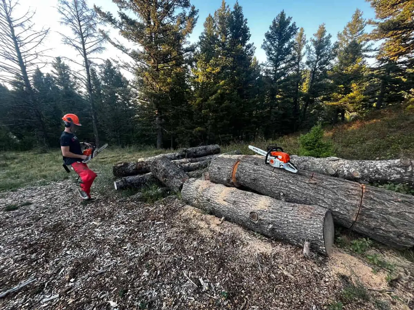 Tree cutting and land clearing on a Montana property