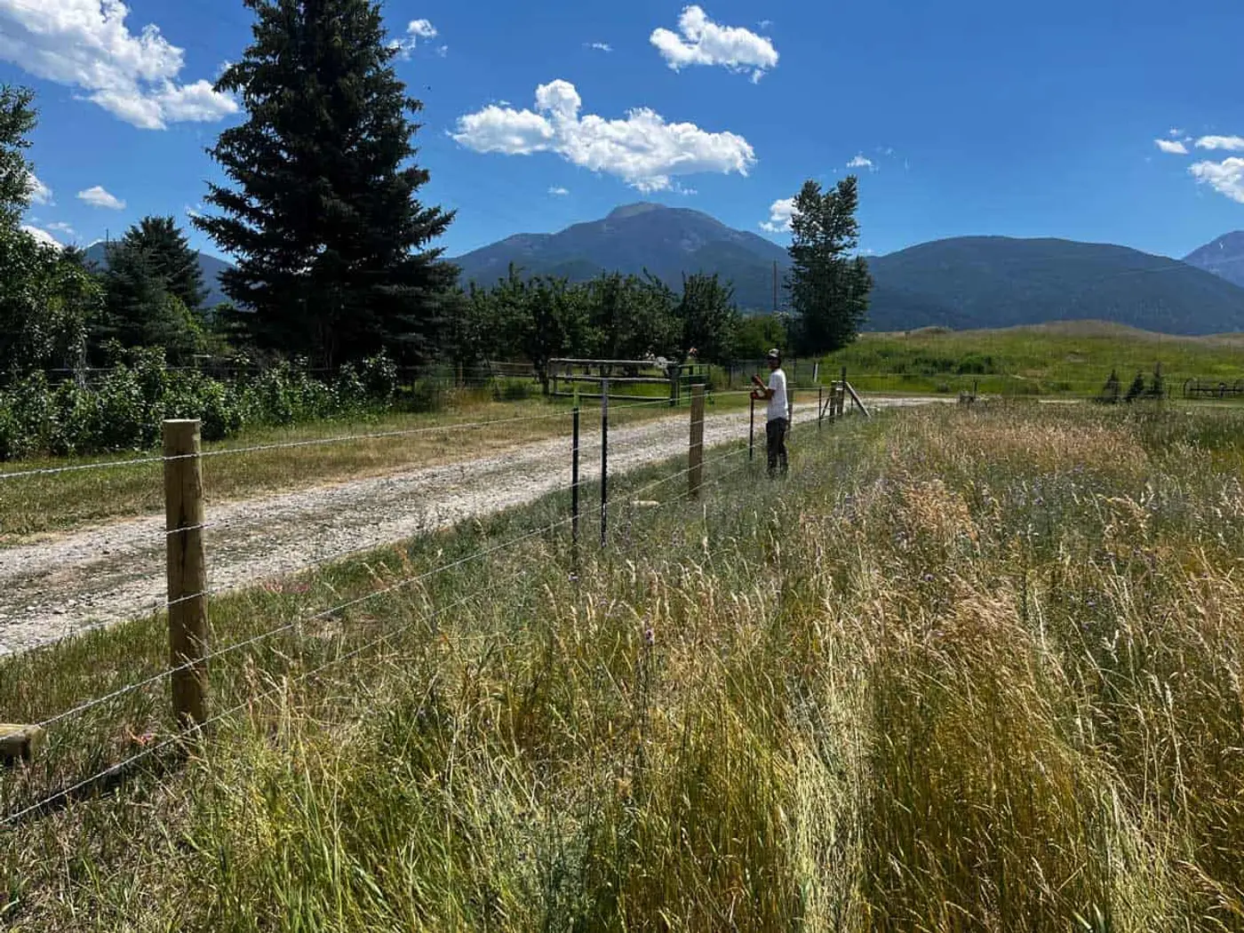 Ranch fencing options in Montana