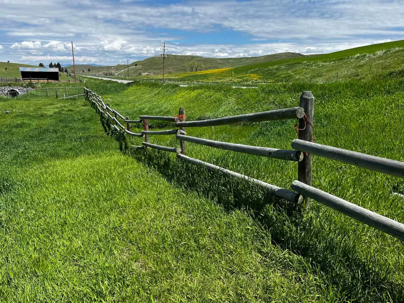 An aging ranch fence line due for replacement